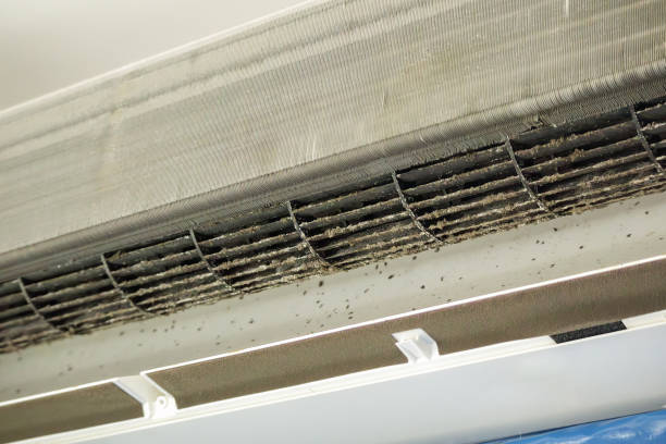Best Affordable Duct Cleaning Services  in Cleary, MS